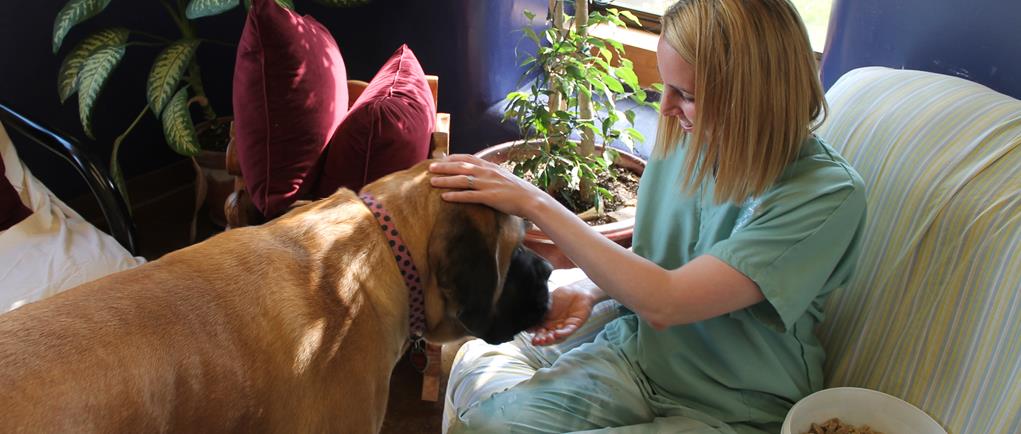 integrative veterinary philosophy Lenexa KS
