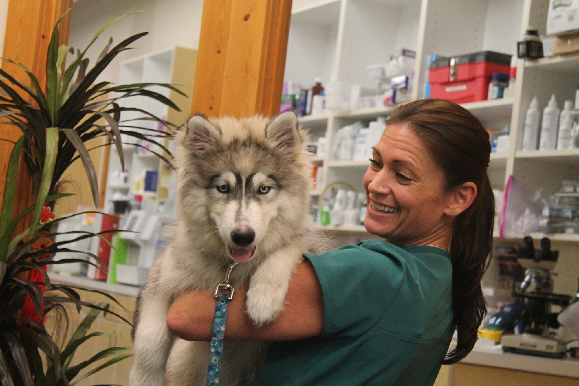 veterinarian near Mission KS