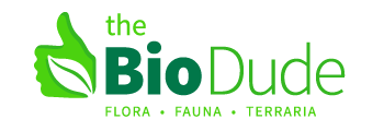 BioDude bioactive reptile substrates